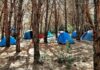 Camping