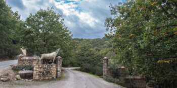 Parks and nature reserves