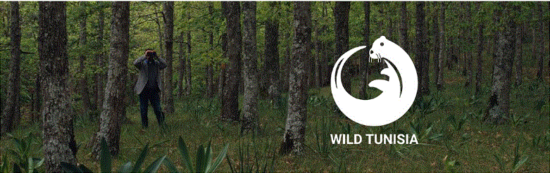 Randonnée écotouristique labellisée Label Wild Tunisia