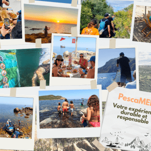 PescaMEL